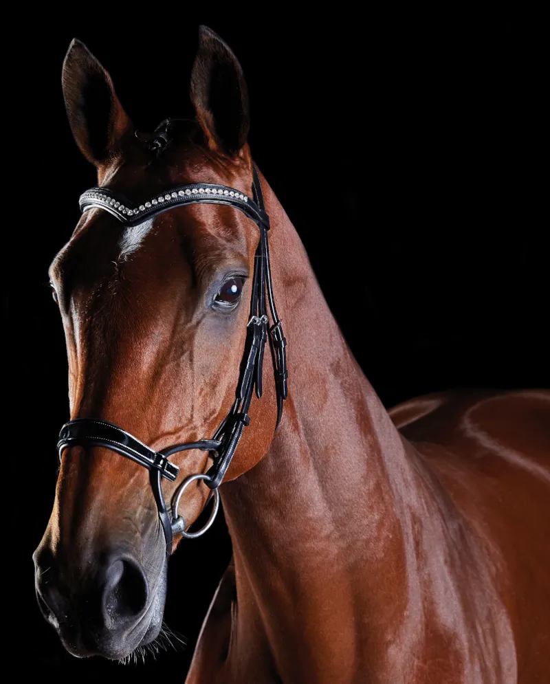 Collegiate Comfitec Patent Bridle Brown